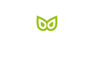 Logo Luciville